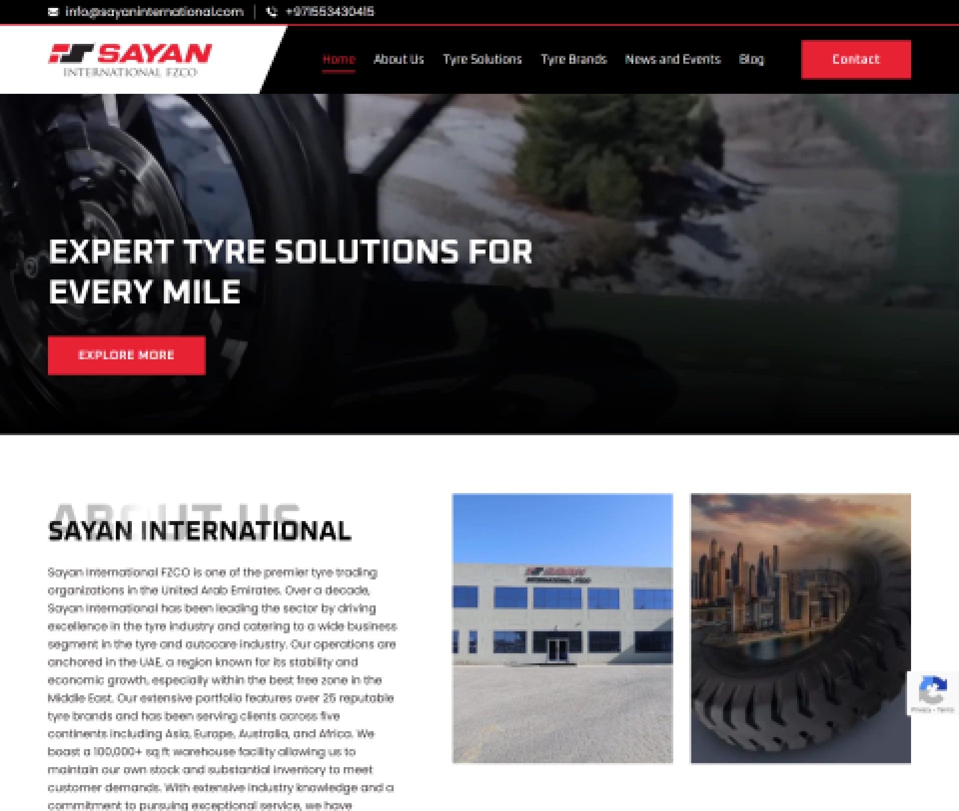Sayan Internatinal
